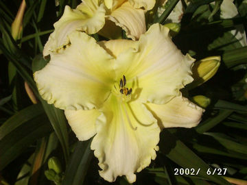 Toon details van Iron Gate Glacier Afbeeldingen van Iron Gate Glacier