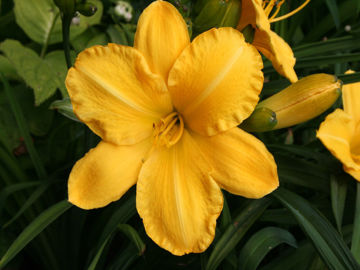 Toon details van Jamie Douglas Afbeeldingen van Jamie Douglas