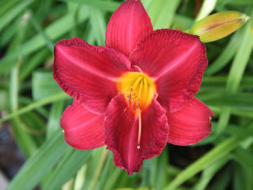 Toon details van James Marsh Afbeeldingen van James Marsh