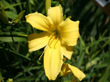 Toon details van Java Sea Afbeeldingen van Java Sea