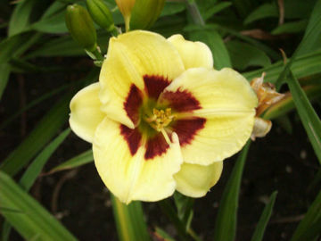 Toon details van Jason Salter Afbeeldingen van Jason Salter