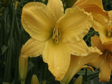 Toon details van Full Reward Afbeeldingen van Full Reward