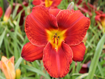 Toon details van Kasbah Fez Afbeeldingen van Kasbah Fez