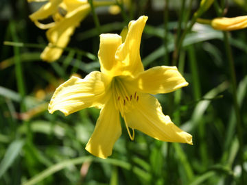 Toon details van Bel Afbeeldingen van Bel