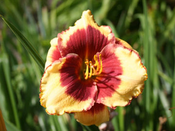 Toon details van Aragon Afbeeldingen van Aragon