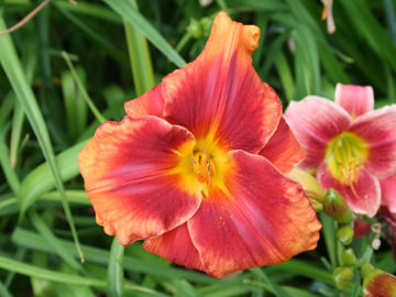 Toon details van Frank Smith Afbeeldingen van Frank Smith