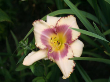 Toon details van Islesworth Afbeeldingen van Islesworth