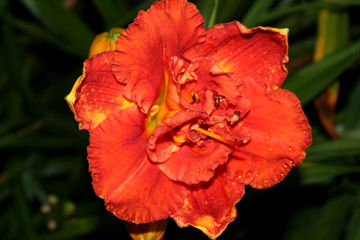 Toon details van Guadalajara Afbeeldingen van Guadalajara