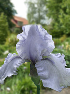 Toon details van Blue Theme Afbeeldingen van Blue Theme