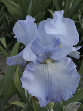 Toon details van Blue Reflection Afbeeldingen van Blue Reflection