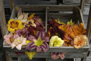 Toon producten in de categorie Aanbiedingen Afbeelding voor categorie Aanbiedingen