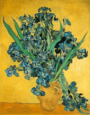 Vincent van Gogh irissen Rijksmuseum Amsterdam